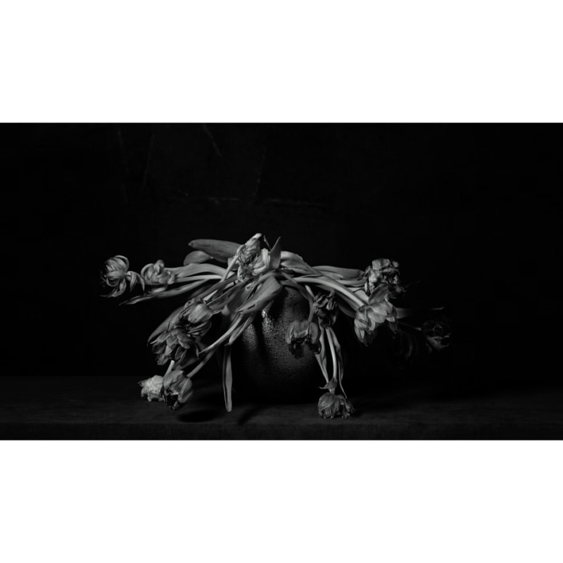 《生活——献给母亲》，定格影像，欧文·奥拉夫，2018 Life - For Mom, Stop-motion, Erwin Olaf, 2018