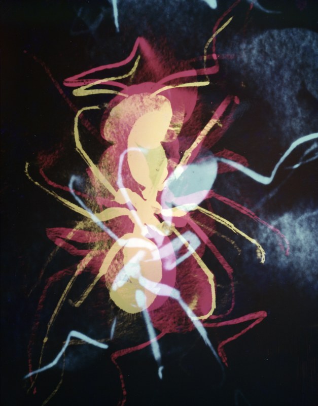 深濑昌久，选自“彩色·探究”系列，1962。© 深濑昌久档案馆