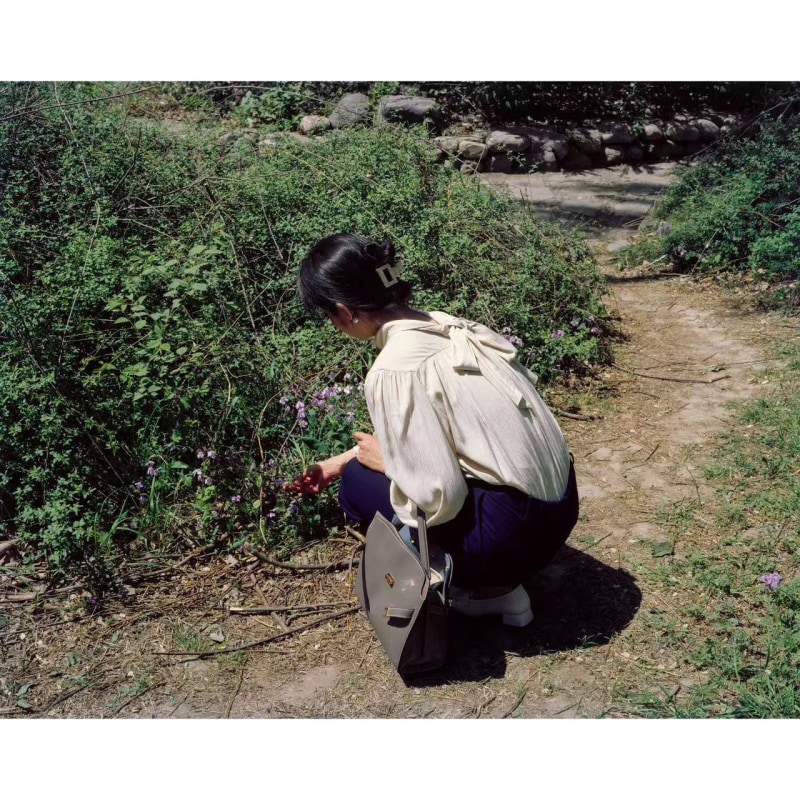 杨维翰，《识别植物》，2023。101 x 127.5cm，收藏级艺术微喷 Yang Weihan, Identifying the Plant, 2021. 101 x 127.5cm, Archival Inkjet Print