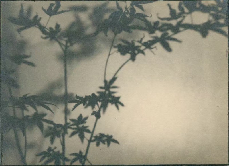 骆伯年，《无题》，1930-1940年，明胶卤化银，40.7 x 27.3 厘米。图片鸣谢骆伯年艺术基金会和三影堂+3画廊 Luo Bonian, Untitled, 1930s-1940s. Gelatin Silver, 40.7 x 27.3 cm. Image courtesy of the Luo Bonian Art Foundation and Three Shadows+3 Gallery.