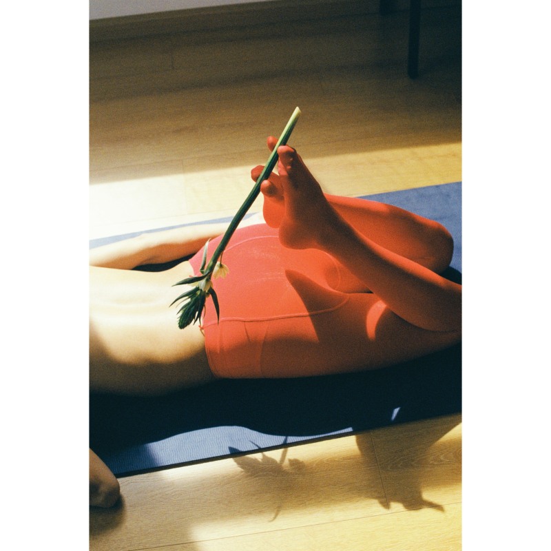编号223，《媚之箭》，2023，艺术微喷。 No.223, Flattering Arrows, 2023, Photography with archival pigment print.