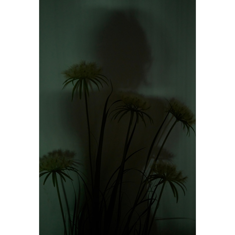 朱纪生 Zhu Jisheng