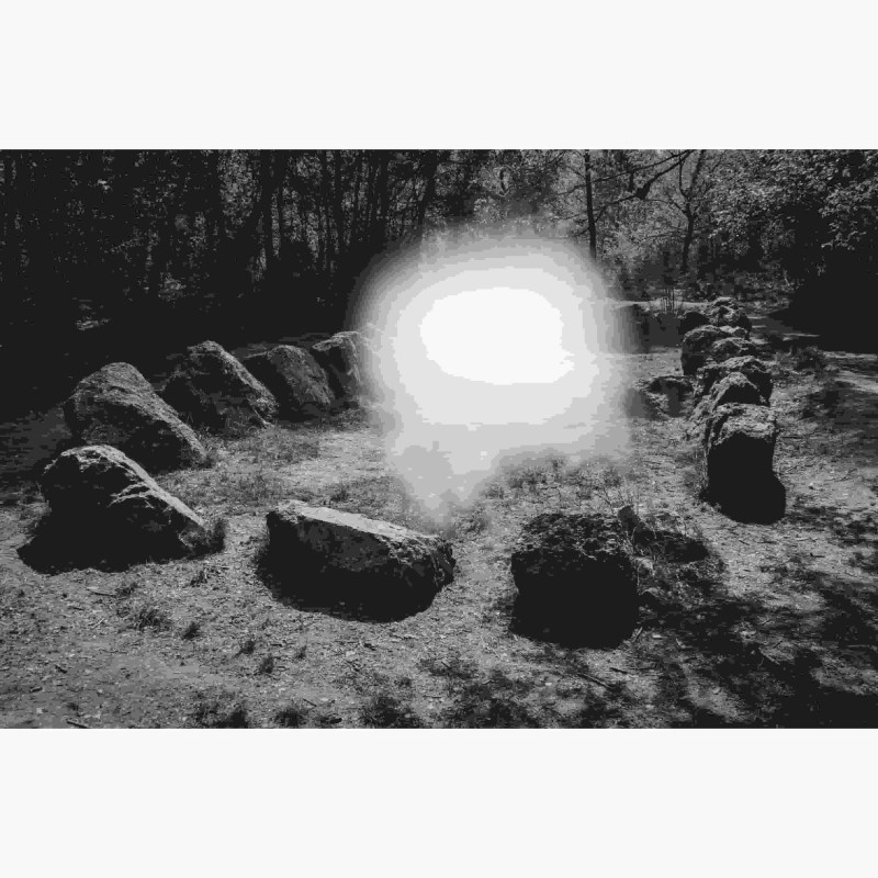 颜梦钰，《修士花园》 ，2023年。UV打印。 Meng-Yu Yan, Jardin aux Moines, 2023. UV print on vinyl.