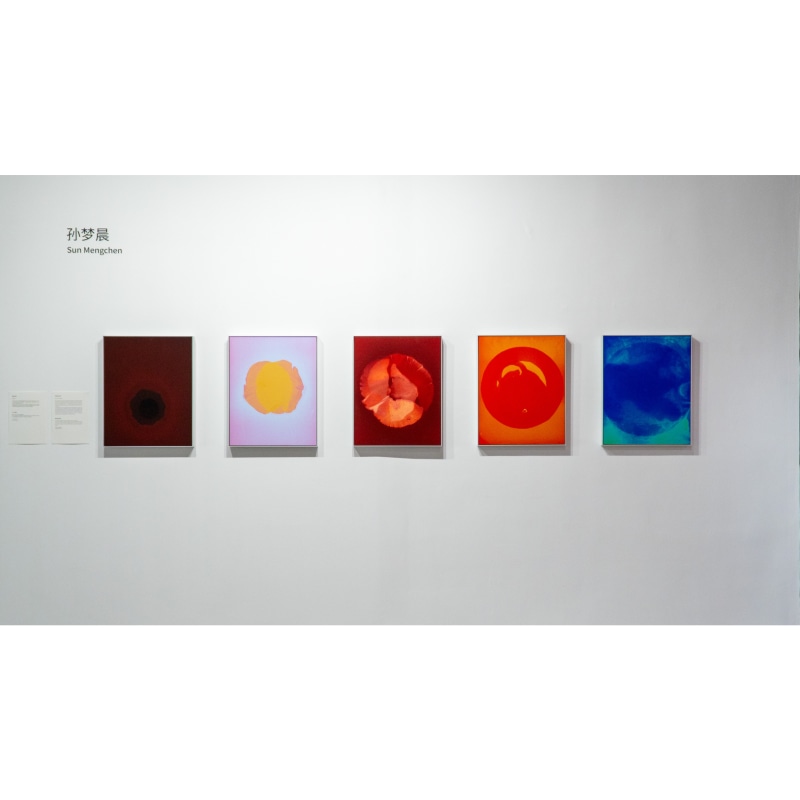 孙梦晨 Sun Mengchen