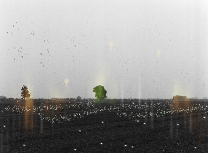 《洄》系列（19） Where My Heart Settles Down (19)