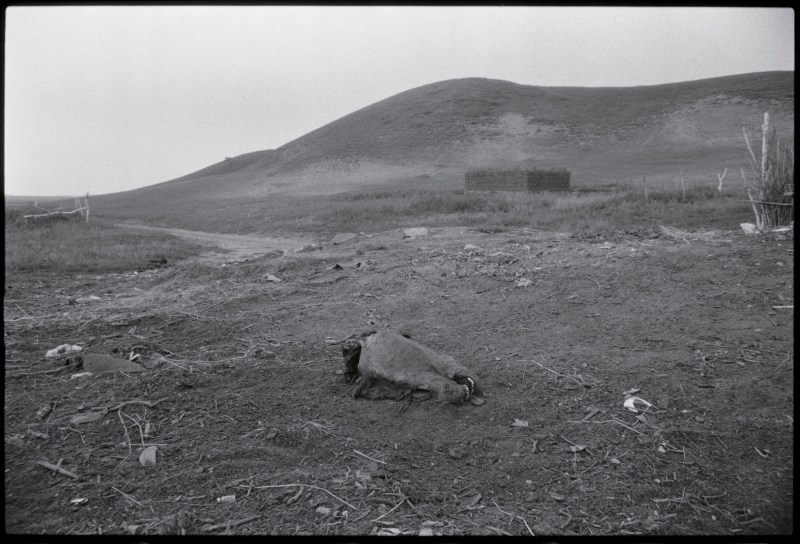《马头，河北》 Horse Head, Hebei 1997