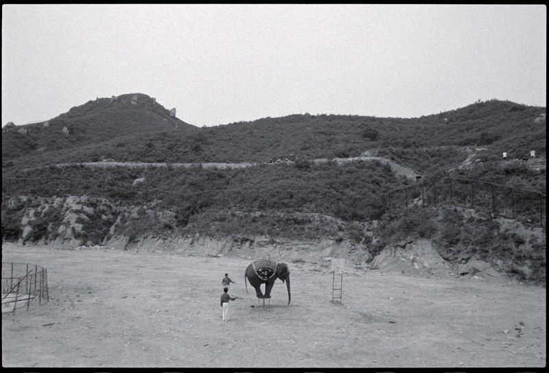 《象的杂技，北京》 Elephant Acrobat, Beijing 1998