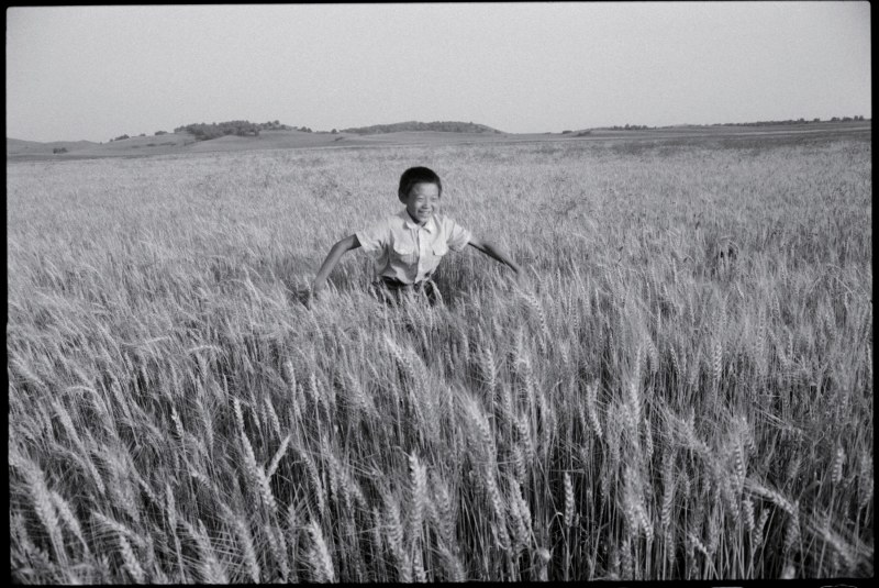 《麦田里的少年，河北》 Boy in the Wheat Fried, Hebei 1997