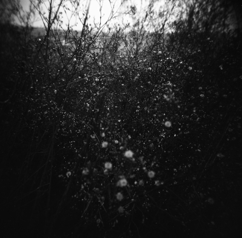 《里巷涂鸦》系列 Alley Scrawl Series 2009