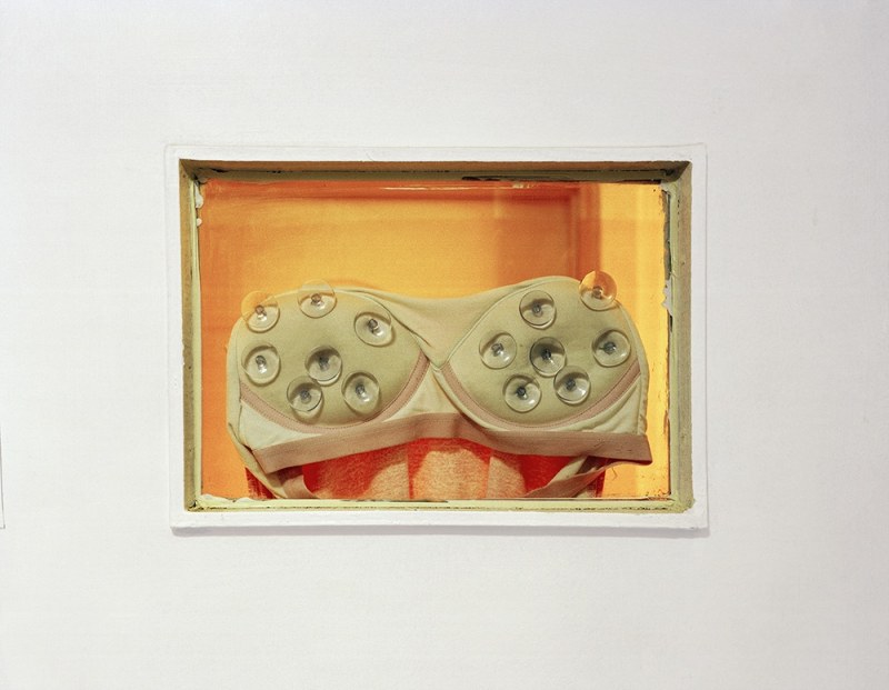《窥》Starring, 2017
