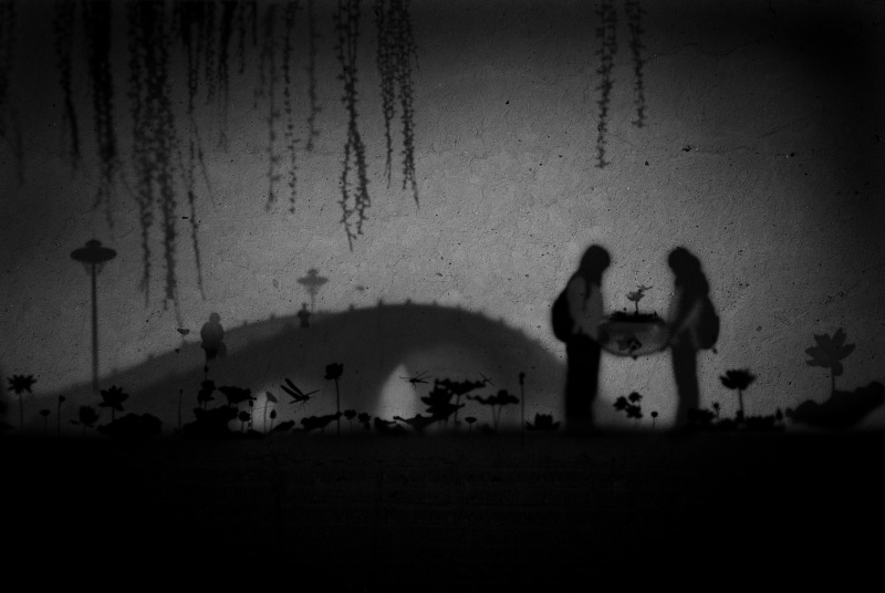 《一个期待或者新的奇迹》系列 An Expectation or a New Miracle Series 2008-2009