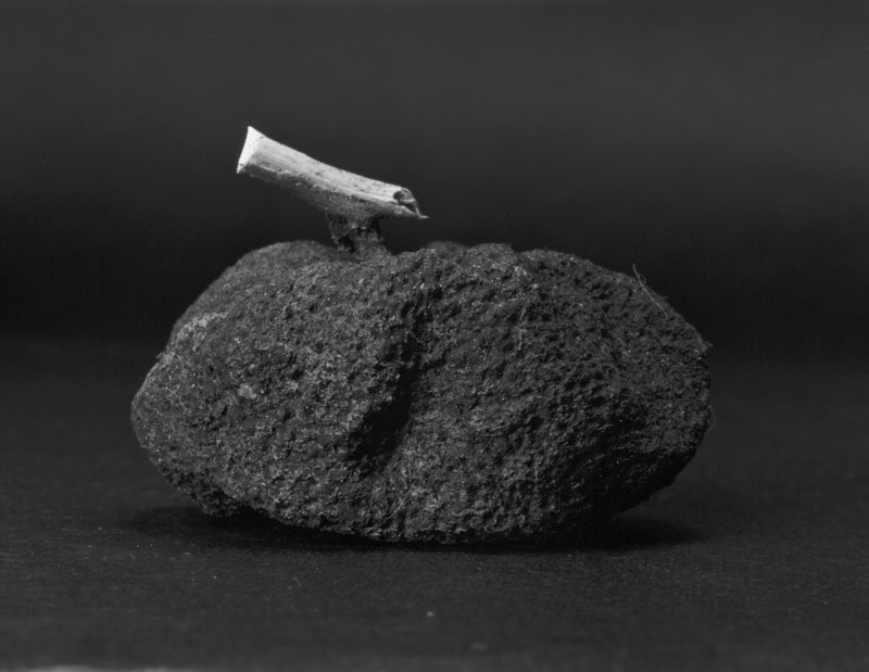 《物非物——果实 01》 Material/Immaterial - Fruit 01 2010