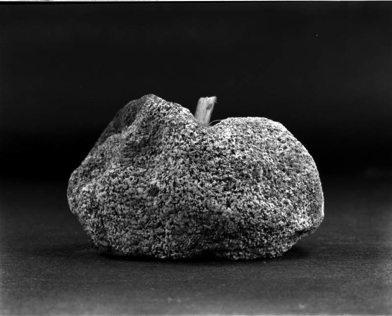 《物非物——果实 04》 Material/Immaterial - Fruit 04 2010
