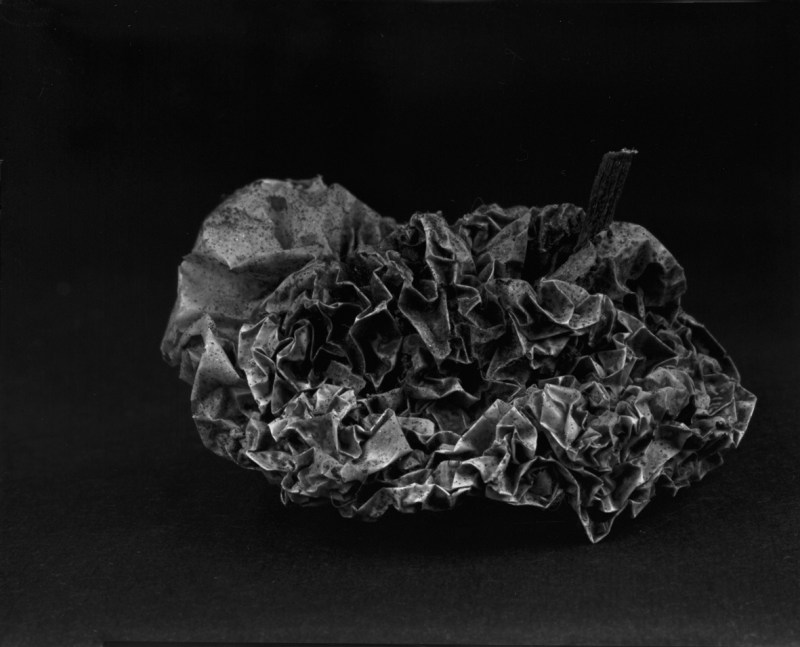 《物非物——果实 05》 Material/Immaterial - Fruit 05 2010