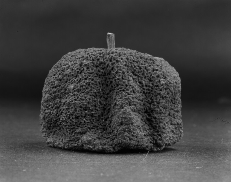 《物非物——果实 08》 Material/Immaterial - Fruit 08 2010