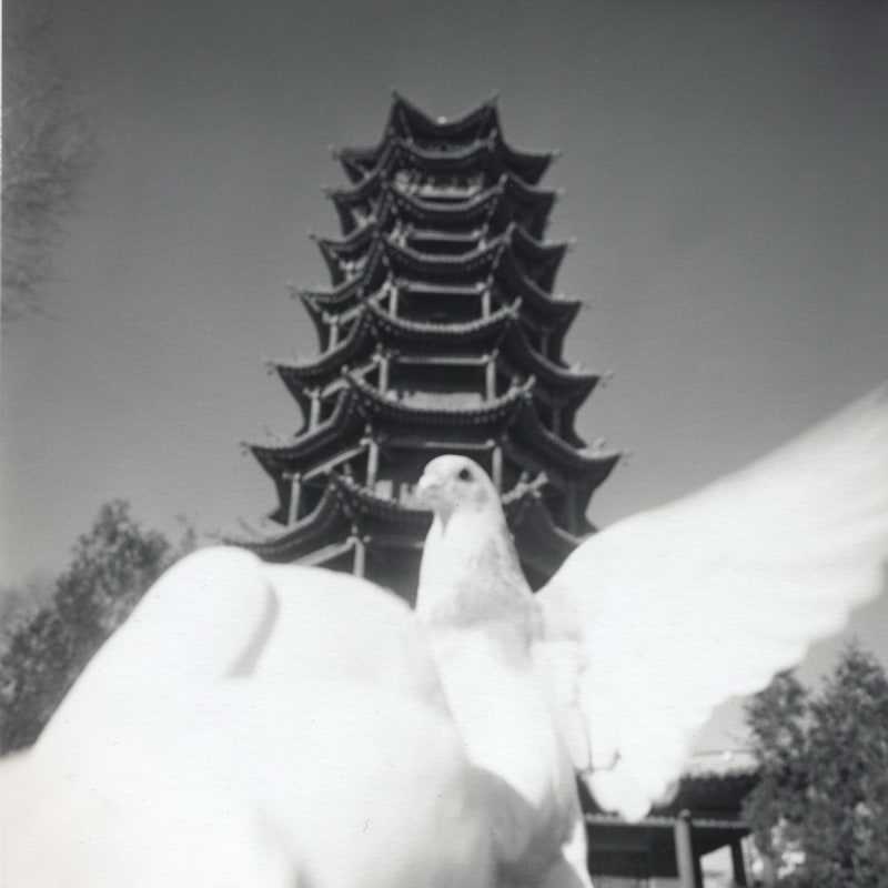《又一季》 Another Season 2010 - 2011