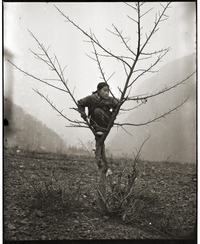《树与女孩》 Girl and Tree 2006