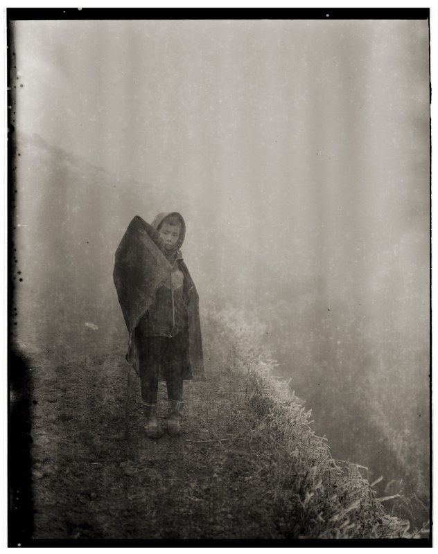 《雾、孩子、霜》 Fog, Child, Frost 2006
