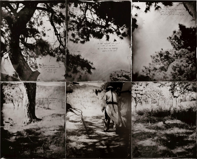 《故国》系列 Memories of China series