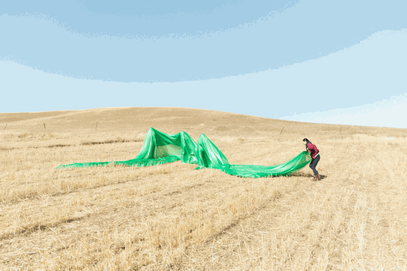 驻地艺术家周一辰作品拍摄现场 View of residence artist Zhou Yichen working on site
