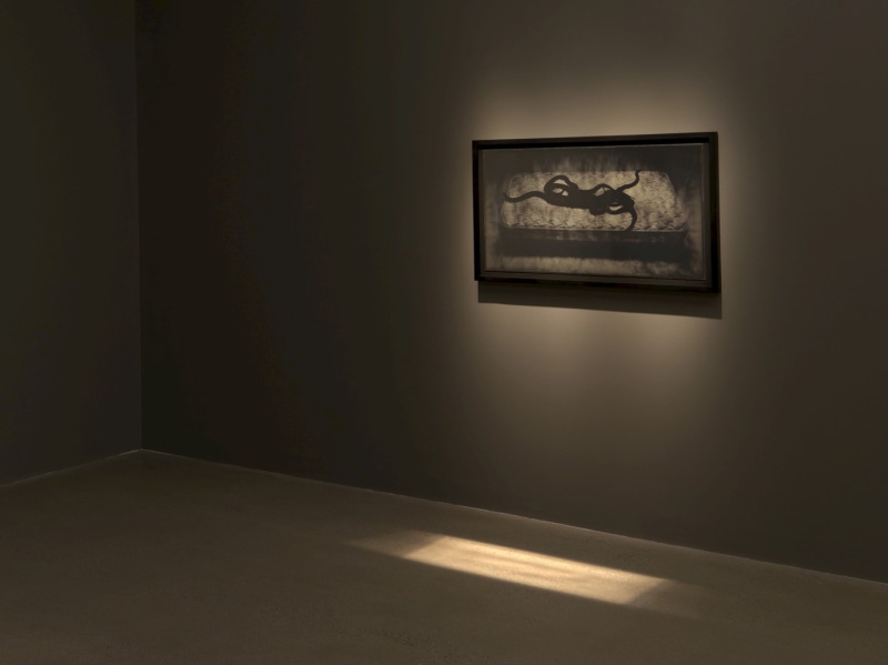 Adam Fuss, Home and the World