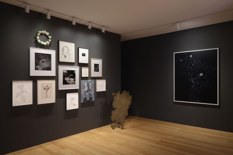 Kiki Smith in A Rose Is