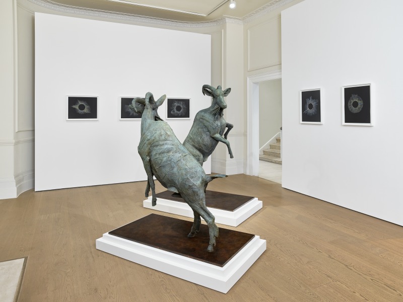 Kiki Smith Exhibition Walkthrough with Jennifer Higgie