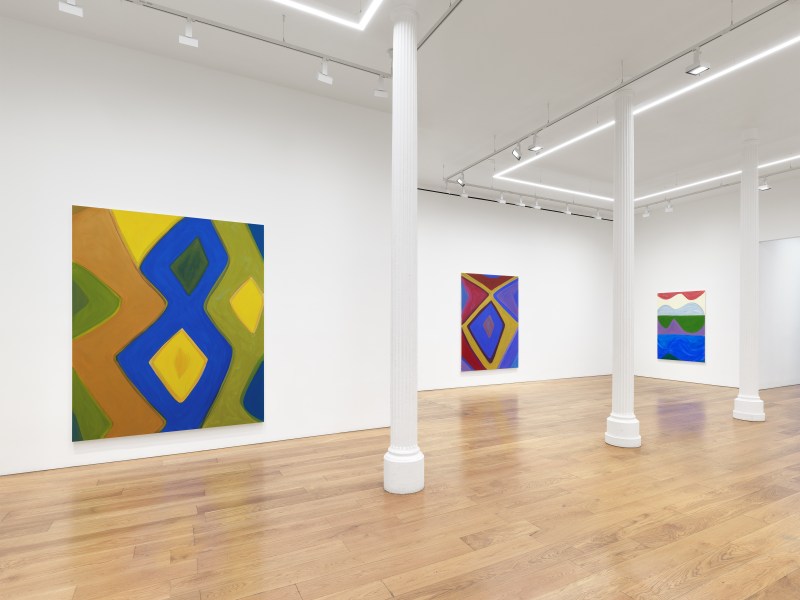 Marina Adams: Patches of sun in a shadowy world