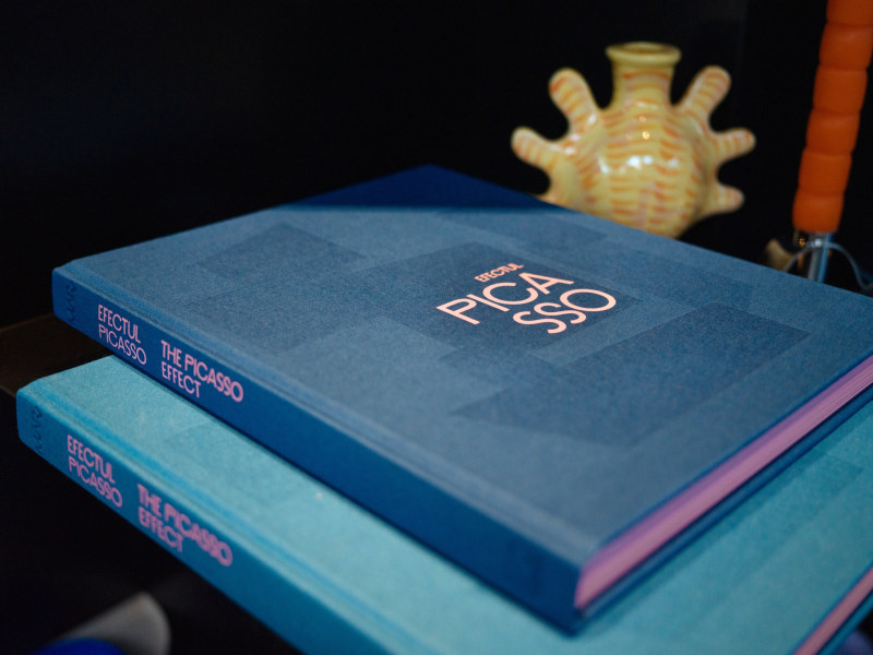 Two blue catalogues stacked on each other with a cover that reads “Efectul Picasso” in pink text and “The Picasso Effect” on the spine. Next to the books is a yellow and orange ceramic vase.