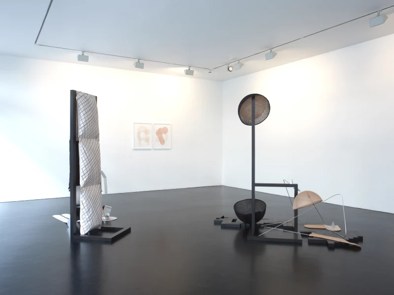 Claire Barclay: Flat Peach