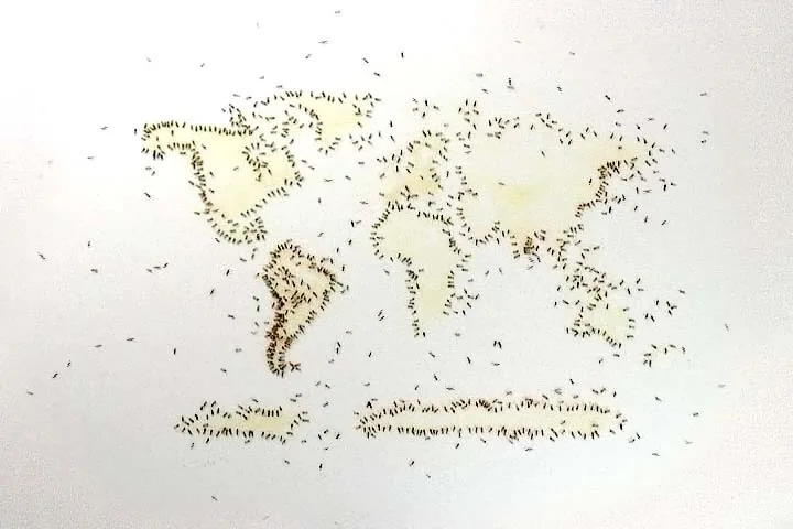 Rivane Neuenschwander is included in 'Water'