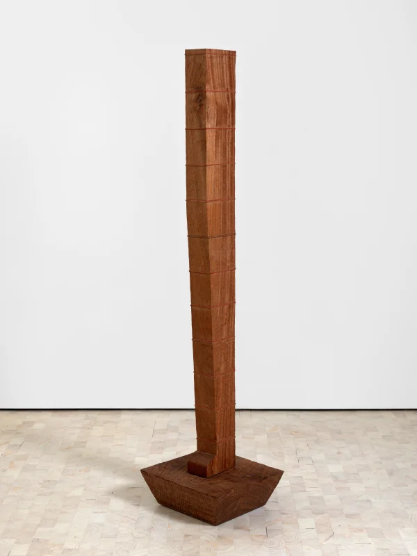 Tonico Lemos Auad features in 'A Living Confluence'