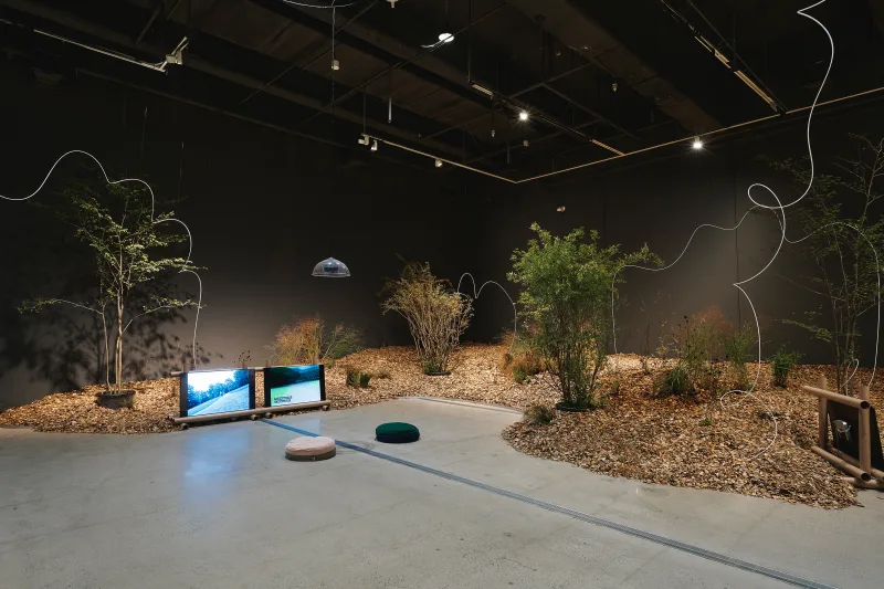 Animation by David Shrigley features in 'A Museum for All, a Museum for Dogs'