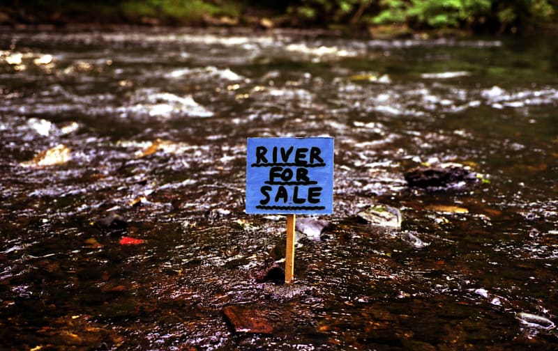 David Shrigley features in ‘Earth Beats - The changing face of nature’