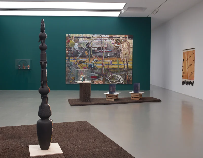 Mecarõ. Amazonia in the Petitgas Collection