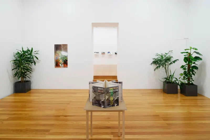 'Juan Araujo: El jardín de los senderos que se Bifurcan'