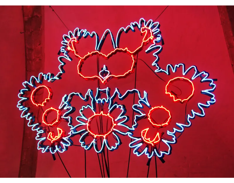 Kendell Geers: Voëlvry