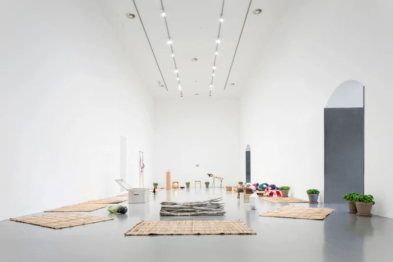 Tonico Lemos Auad in 'Enchanted Bodies / Fetish for freedom'