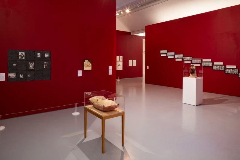 Caroline Walker features in 'Acts of Creation'