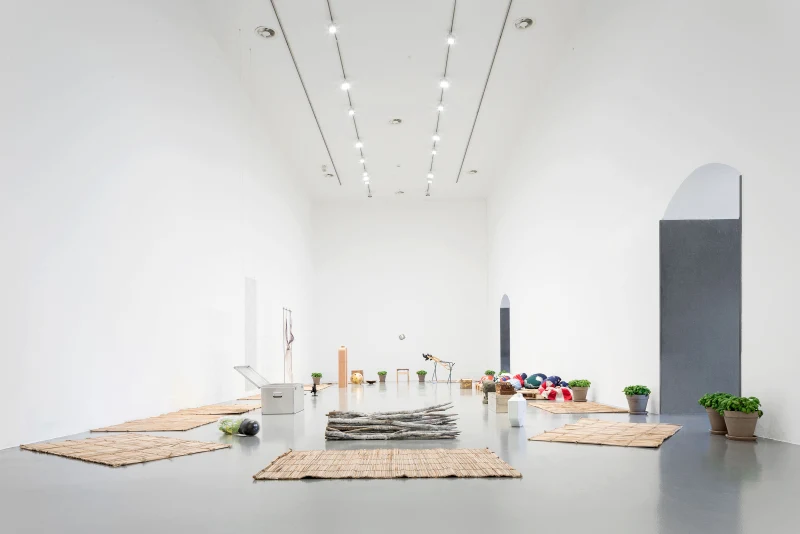 Tonico Lemos Auad, The 15th Premio Lorenzo Bonaldi per l'Arte EnterPrize Exhibition