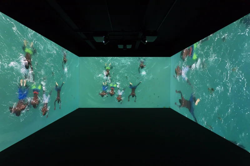 Kehinde Wiley, 'Narrenschiff' Promotional Excerpt