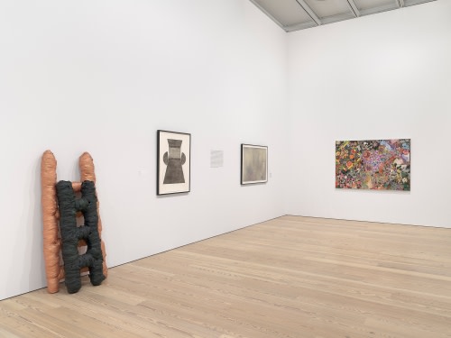 <font color="#777777">Installation view, Courtesy Whitney Museum of American Art, New York. <br>Photo: Ron Amstutz.</font><br>
