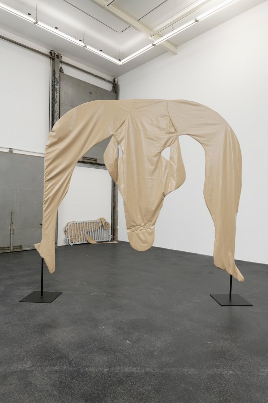 Pauline Curnier Jardin