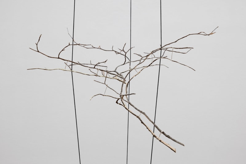 Nature humaine – Humaine nature 