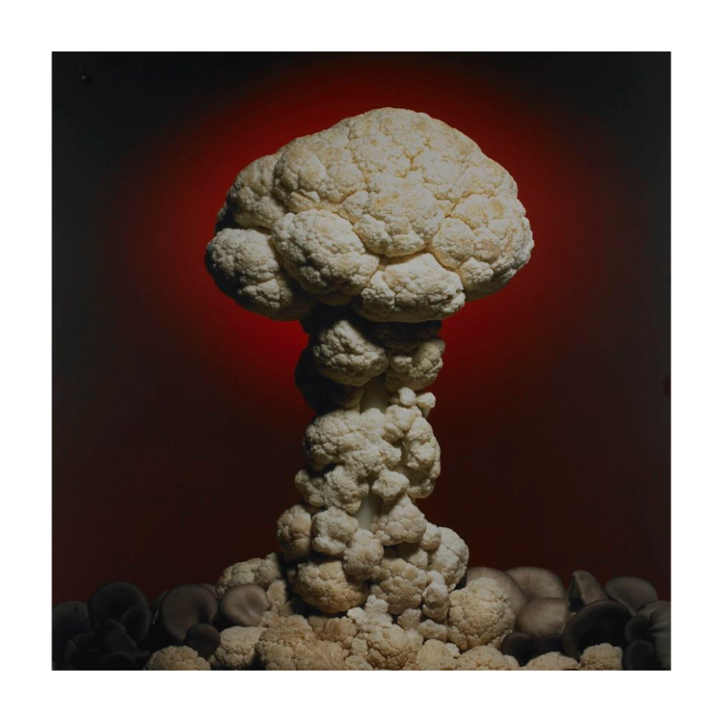 <br>Entre ciels et toiles. Peindre les nuages depuis le XVIe siècle<br>