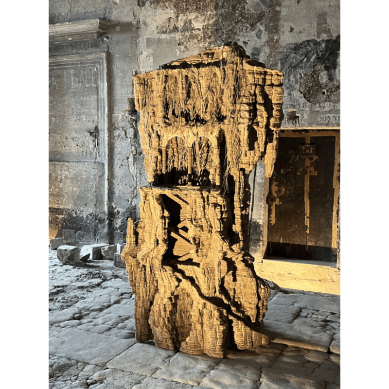 <i>Dancing with All: The Ecology of Empathy</i>