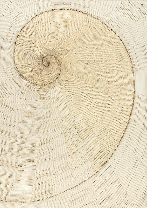 <i>Nautilus</i>