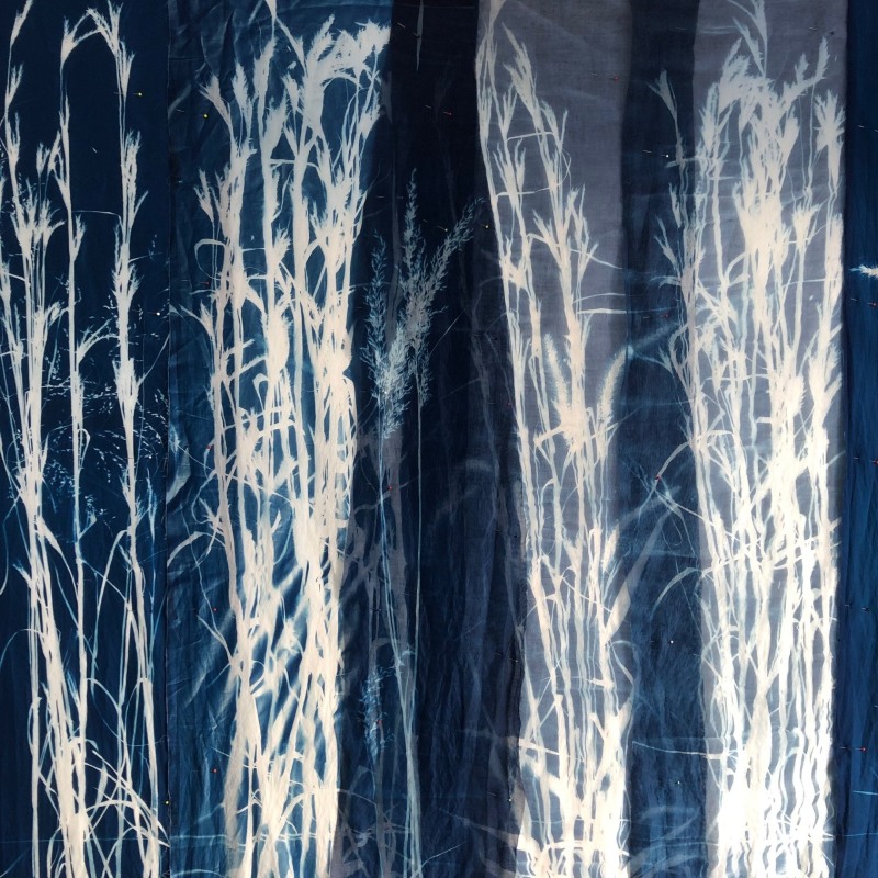 Cyanotype Print of the <br>Tall Grasses<br>