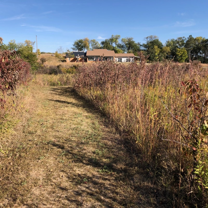 Spring Creek Prairie
