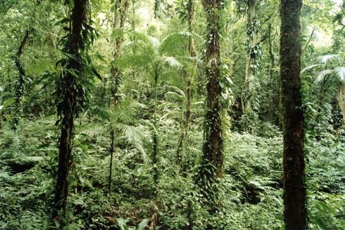 THOMAS STRUTH<br>